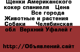 Щенки Американского кокер спаниеля › Цена ­ 15 000 - Все города Животные и растения » Собаки   . Челябинская обл.,Верхний Уфалей г.